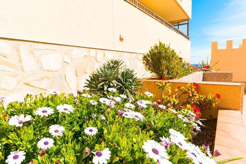 1 bedroom Apartment for sale in Cabo Cervera, Torrevieja € 89,900