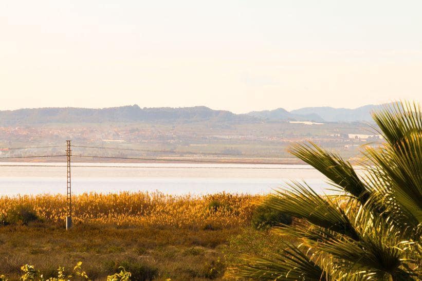 3 sypialnia Apartament na sprzedaż w El Chaparral - 230 000 € (Ref: 9019483)