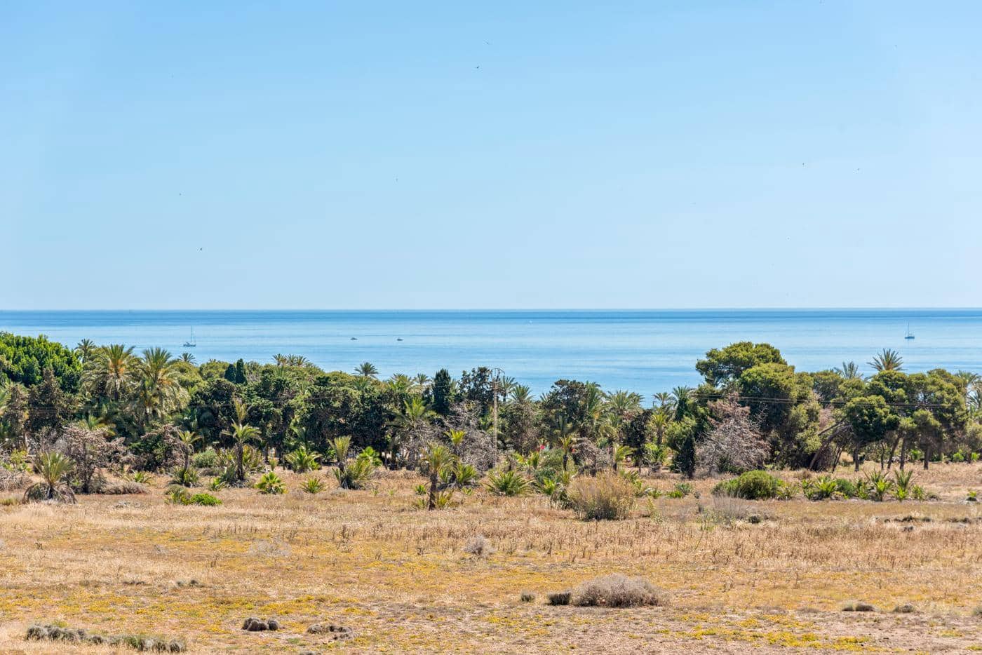 2 bedroom Apartment for sale in Punta Prima with pool - € 225,000 (Ref: 9104025)