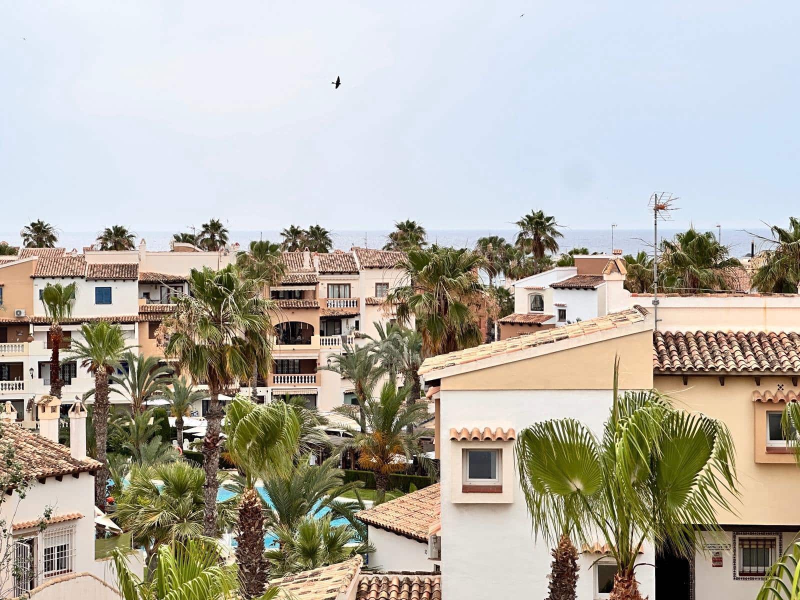 2 soveværelse Lejlighed til salg i Torrevieja med swimmingpool - € 209.000 (Ref: 9138777)