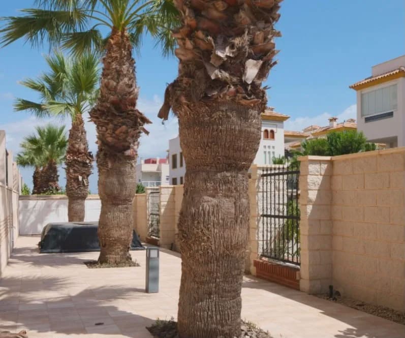 2 quarto Apartamento para venda em Guardamar del Segura com piscina garagem - 290 000 € (Ref: 10003498)
