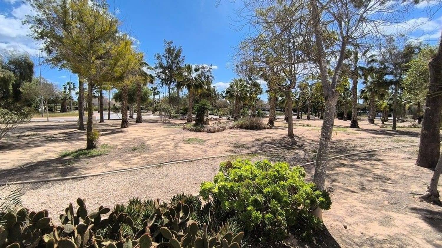 3 soveværelse Villa til salg i Guardamar del Segura med swimmingpool garage - € 269.000 (Ref: 9294136)