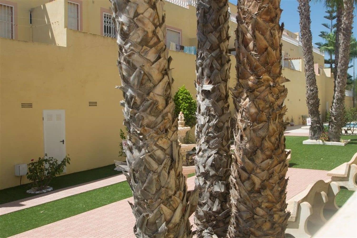 2 bedroom Apartment for rent in Orihuela Costa with pool garage - € 900 (Ref: 9371370)