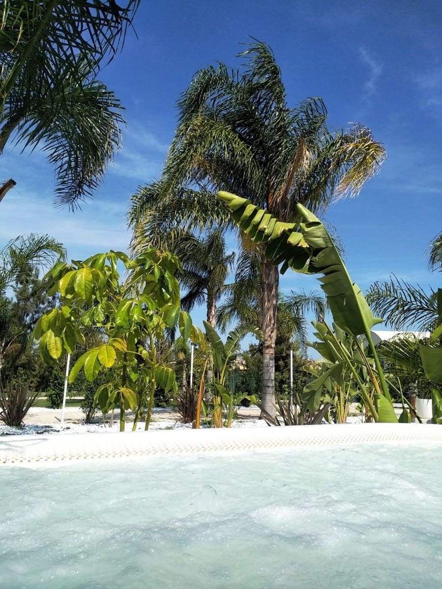 3 soverom Hus til salgs i Algorfa med svømmebasseng garasje - € 150 000 (Ref: 9402842)