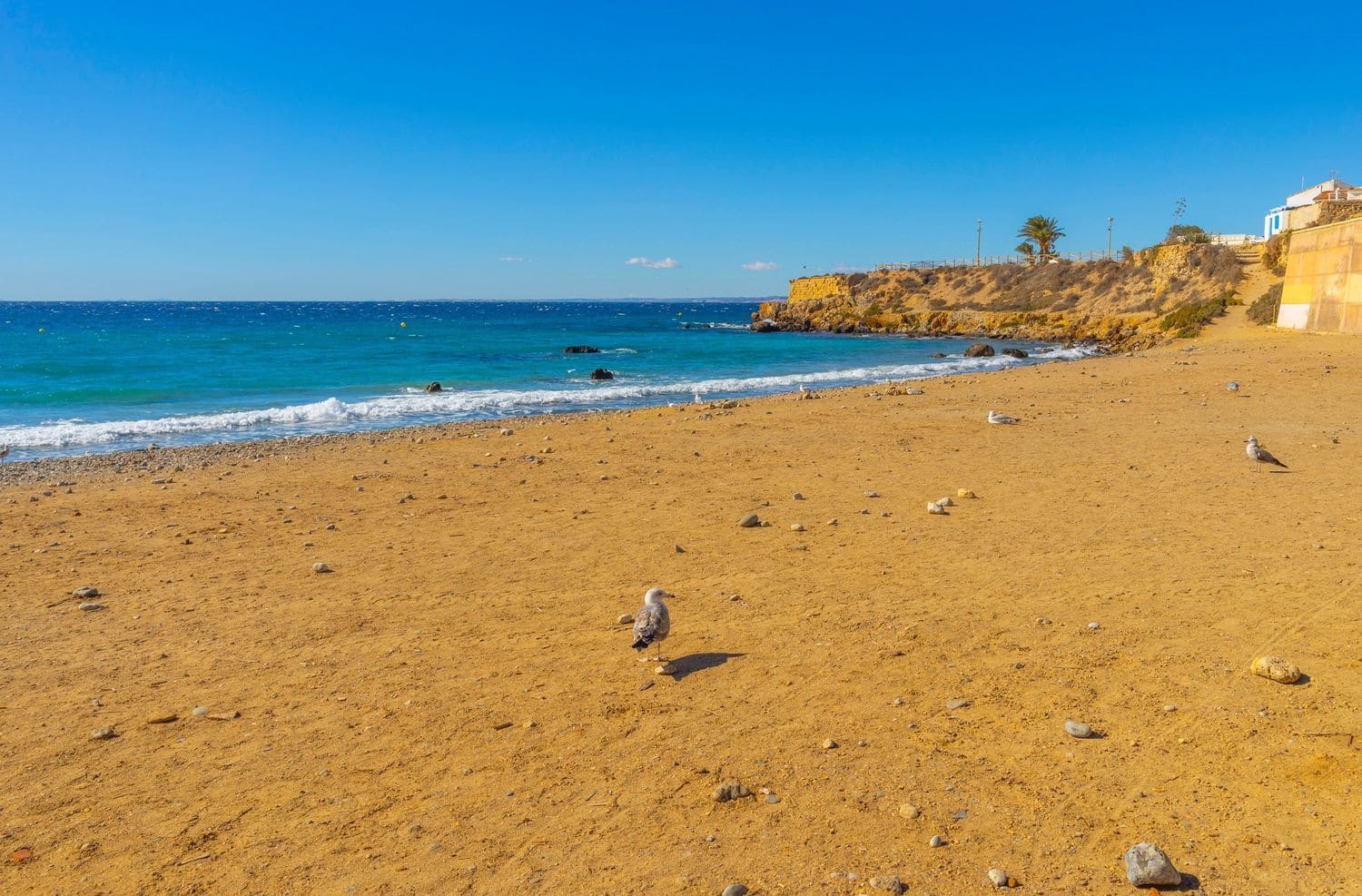 2 quarto Apartamento para venda em Torrevieja com garagem - 148 900 € (Ref: 9429118)