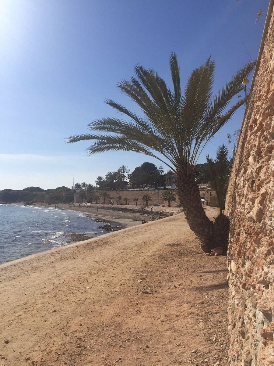 Apartamento de 2 habitaciones en Torrevieja en venta con garaje - 129.900 € (Ref: 9451769)