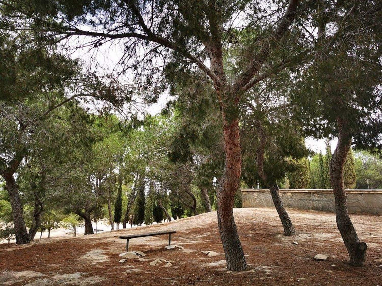 2 quarto Apartamento para venda em Benejuzar com piscina garagem - 99 999 € (Ref: 9460921)