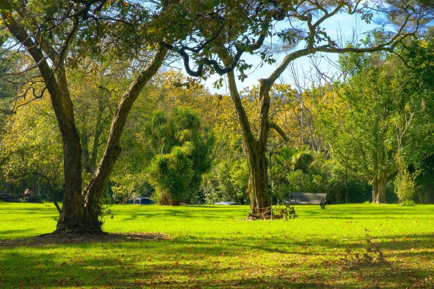 3 makuuhuone Huoneisto myytävänä paikassa Torrevieja mukana 
autotalli - 225 000 € (Ref: 9465118)