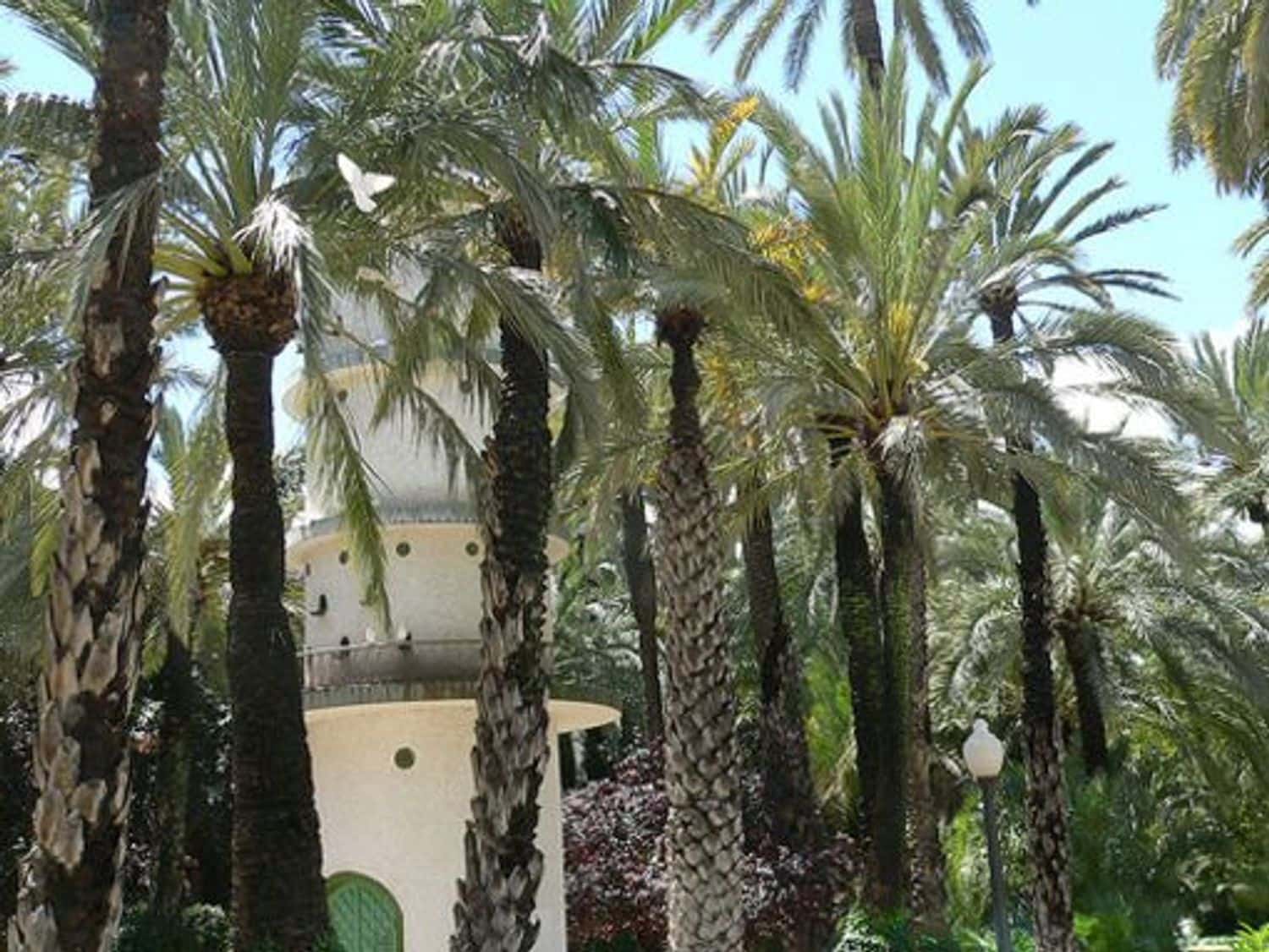 1 soverom Leilighet til salgs i El Chaparral med garasje - € 89 000 (Ref: 9774423)