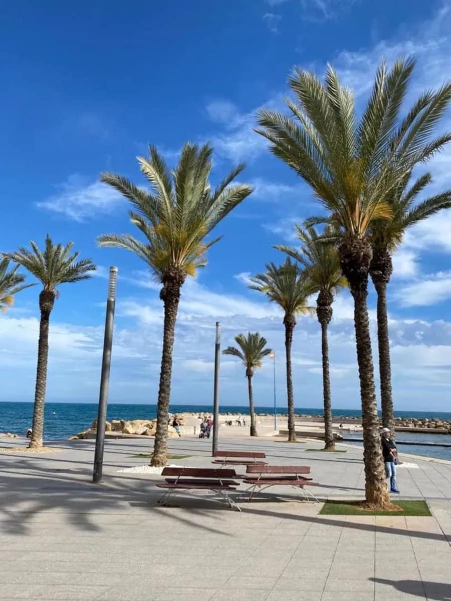 Apartamento de 2 habitaciones en Torrevieja en venta con piscina garaje - 169.900 € (Ref: 9774427)