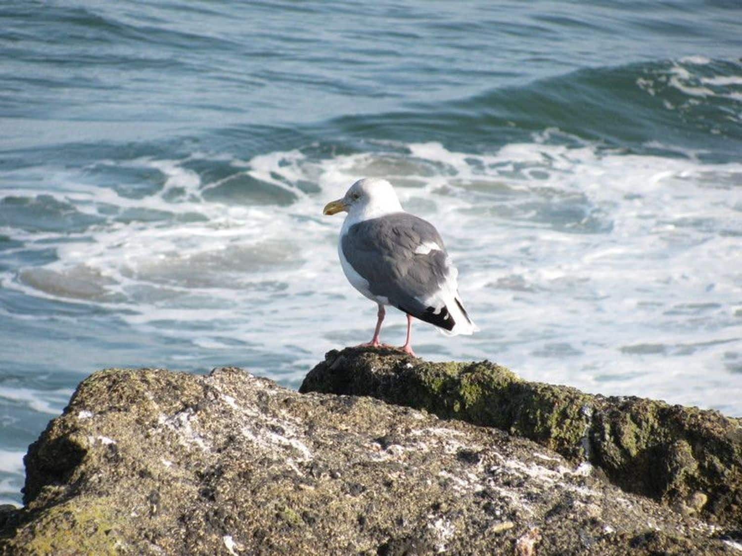 2 bedroom Apartment for sale in Aguas Nuevas with pool garage - € 149,900 (Ref: 9774443)