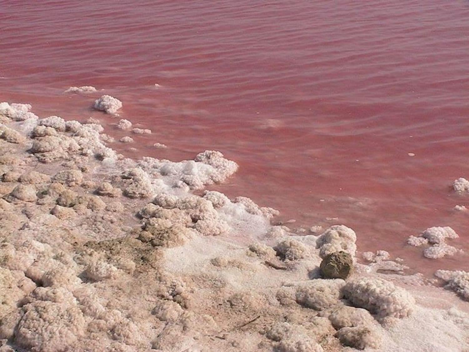 2 bedroom Apartment for sale in Aguas Nuevas with pool garage - € 149,900 (Ref: 9774443)