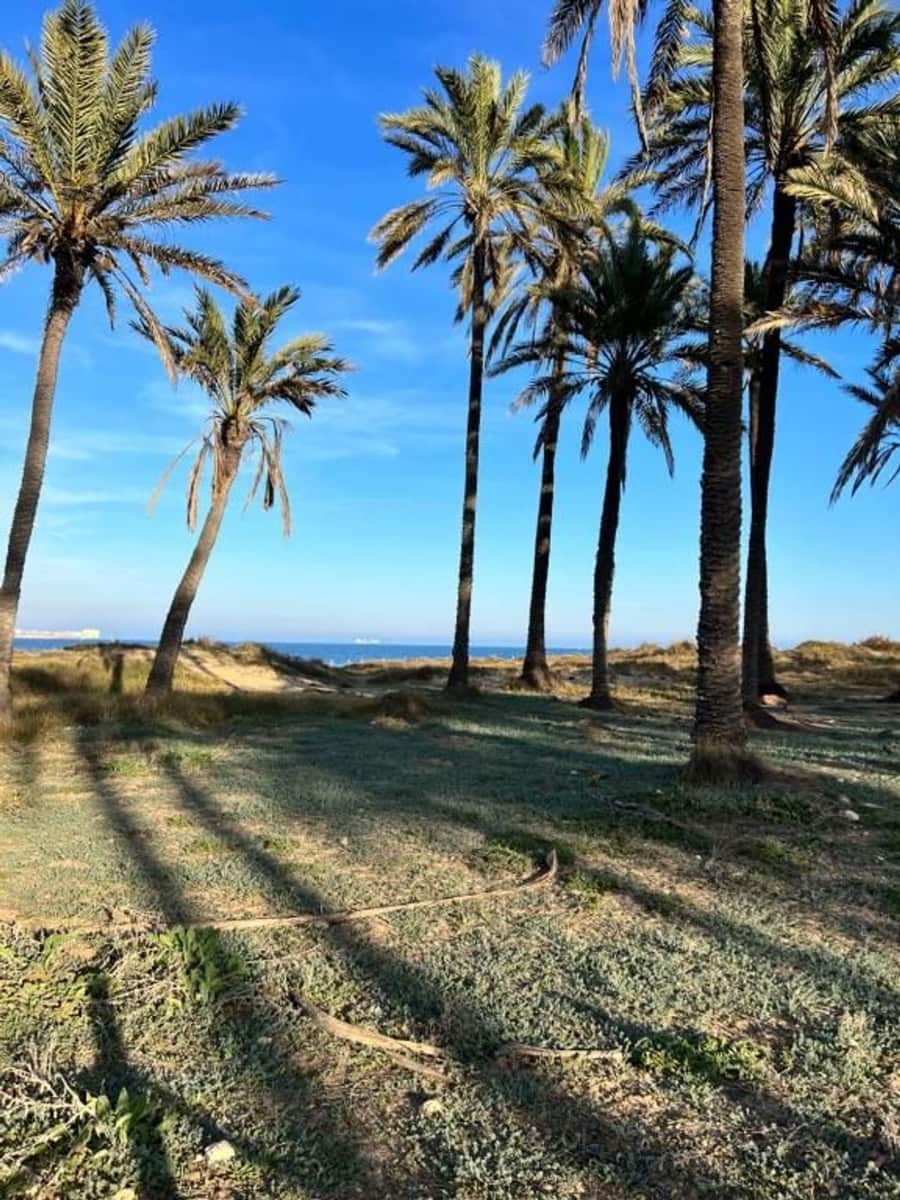 2 soveværelse Lejlighed til salg i Playa Flamenca med swimmingpool garage - € 179.000 (Ref: 9782897)