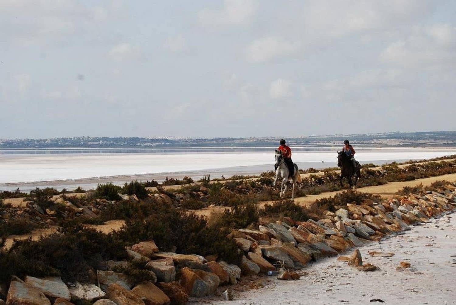 Chalet de 3 habitaciones en Los Montesinos en venta con piscina garaje - 387.500 € (Ref: 9782908)