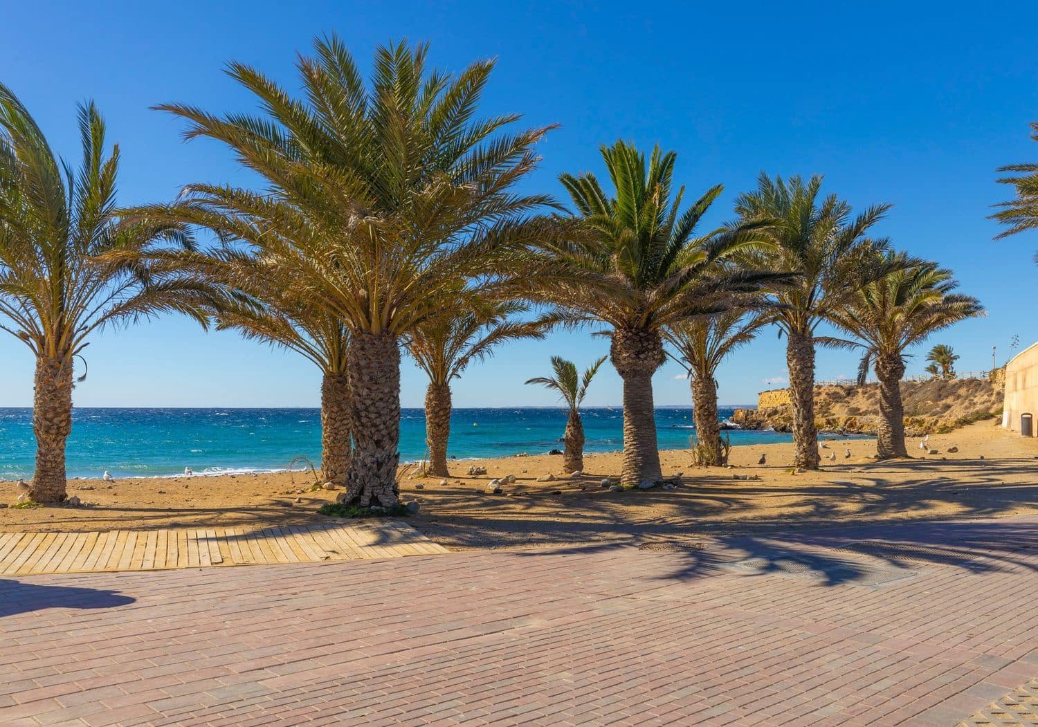 1 sypialnia Apartament na sprzedaż w Torrevieja z garażem - 124 900 € (Ref: 9824260)