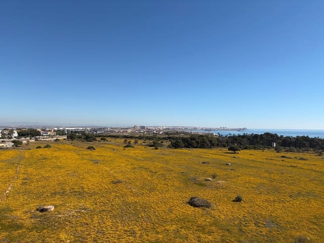 2 sypialnia Apartament na sprzedaż w Punta Prima, Torrevieja z basenem garażem - 220 000 € (Ref: 9885339)