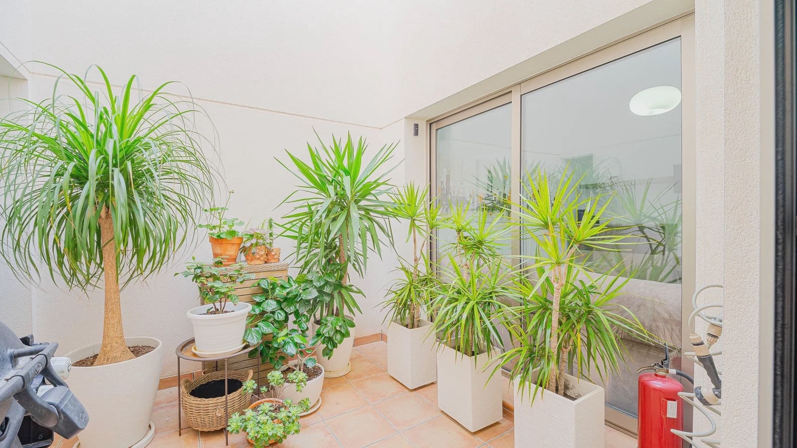 3 sovrum Hus till salu i Punta Prima med pool garage - 355 000 € (Ref: 9994468)