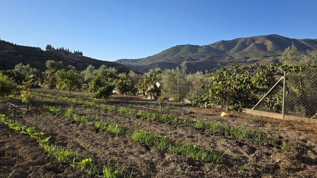 Terreno Não Urbanizado para venda em Melegis, El Valle - 145 000 € (Ref: 10116048)