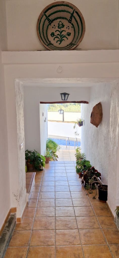 7 soveværelse Guesthouse/B & B til salg i El Pinar med swimmingpool - € 259.000 (Ref: 8776888)