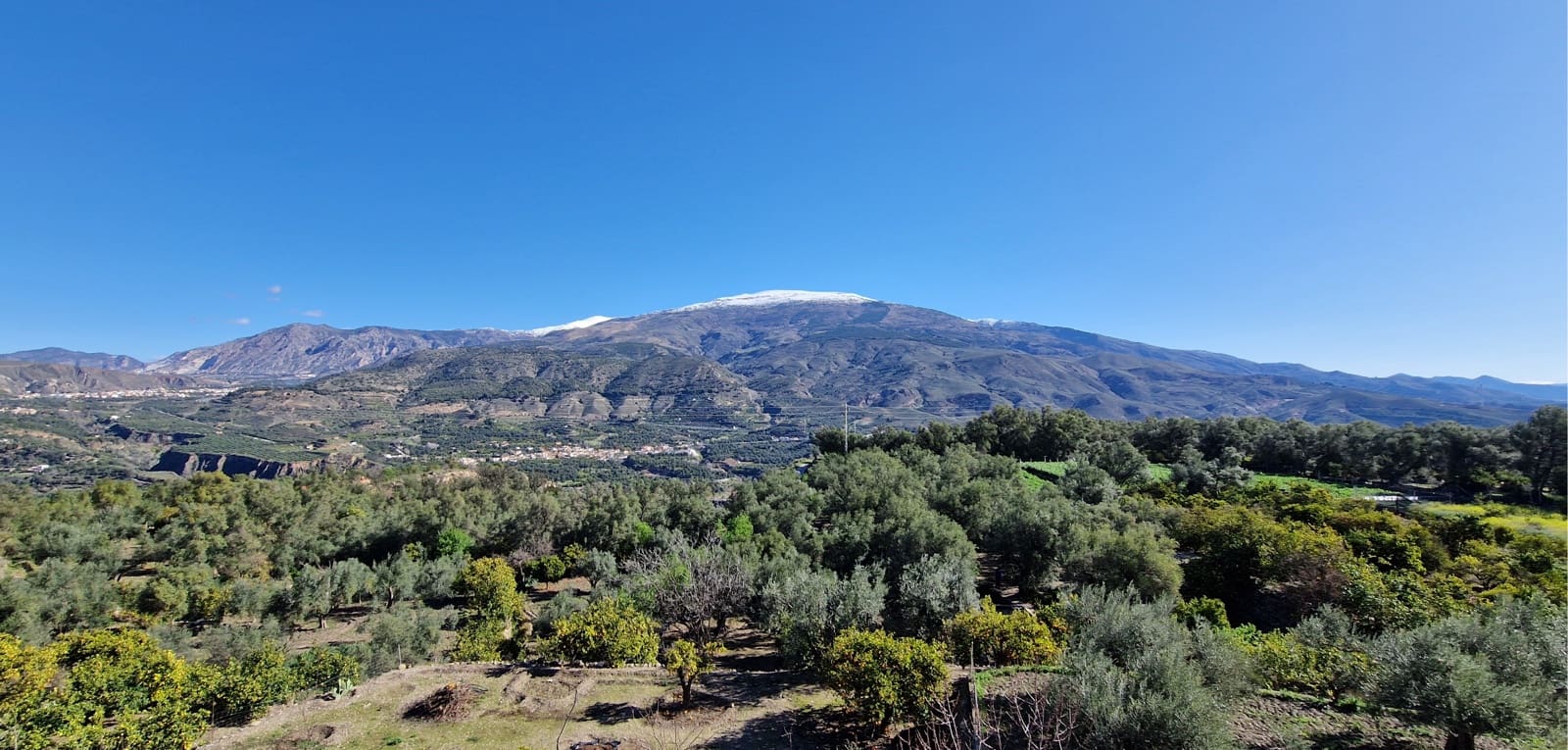 7 soveværelse Guesthouse/B & B til salg i El Pinar med swimmingpool - € 259.000 (Ref: 8776888)