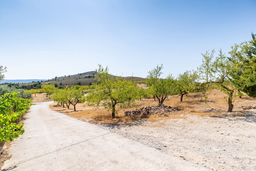 3 soveværelse Finca/Landehus til salg i Villamena med swimmingpool garage - € 495.000 (Ref: 9113582)