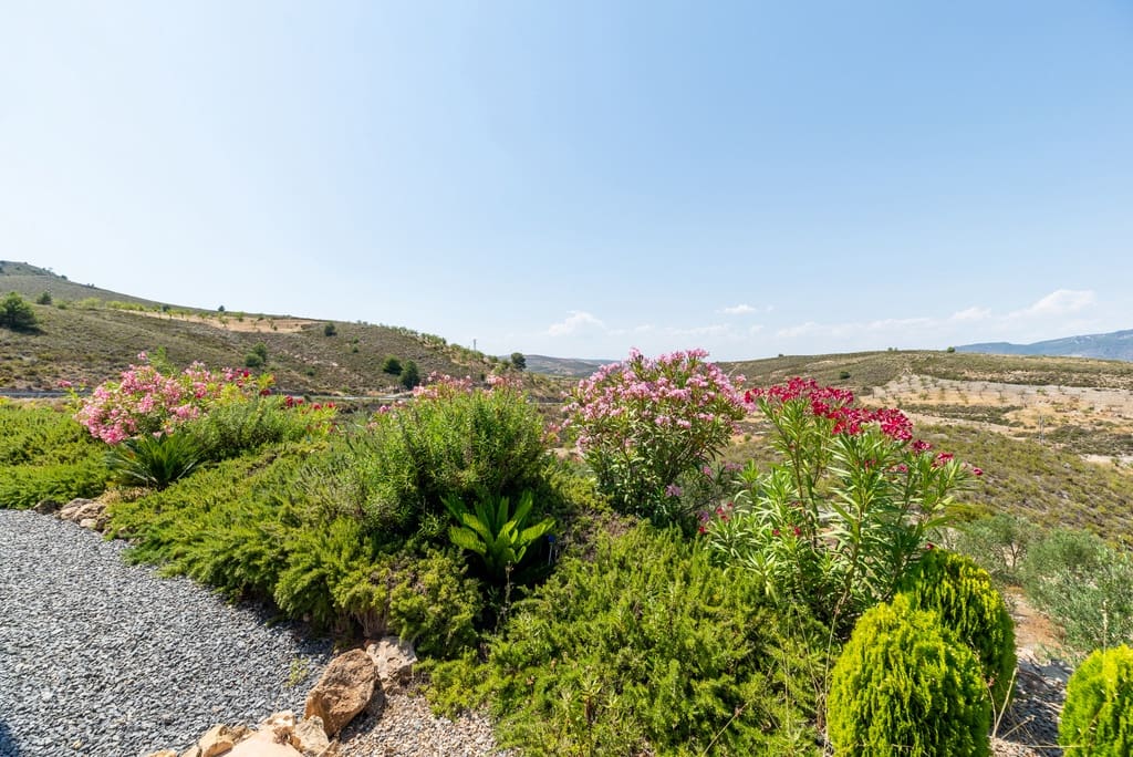 3 soveværelse Finca/Landehus til salg i Villamena med swimmingpool garage - € 495.000 (Ref: 9113582)