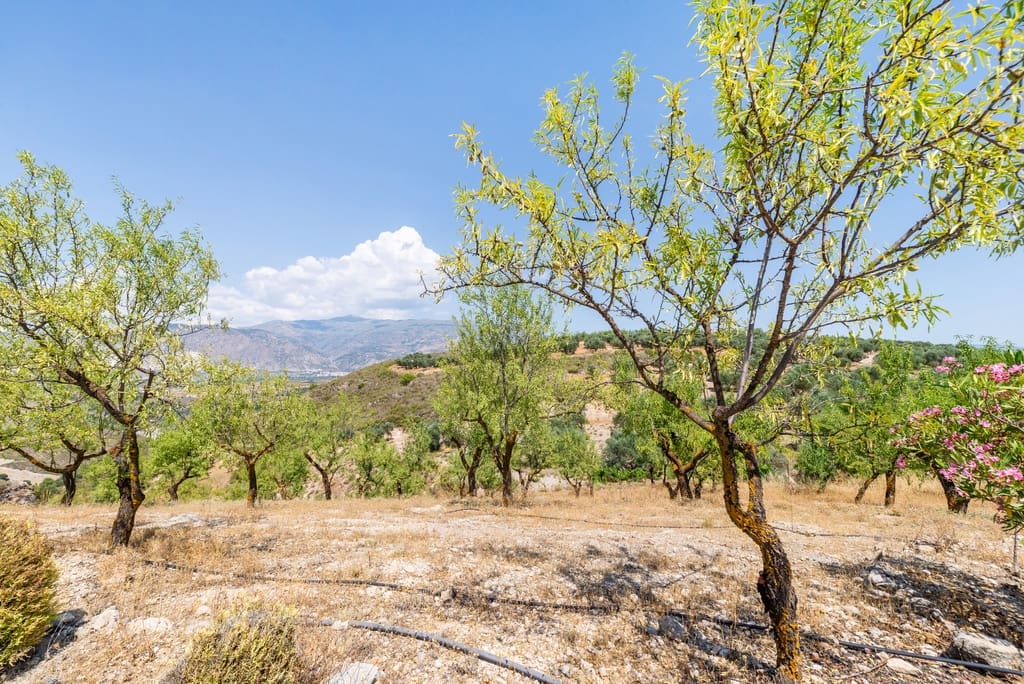 3 soveværelse Finca/Landehus til salg i Villamena med swimmingpool garage - € 495.000 (Ref: 9113582)