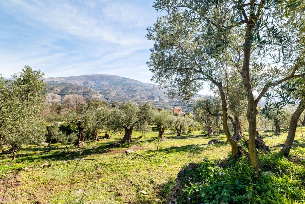 5 slaapkamer Finca/Landhuis te koop in El Pinar met zwembad garage - € 850.000 (Ref: 9360400)