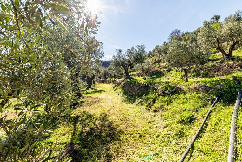 5 slaapkamer Finca/Landhuis te koop in El Pinar met zwembad garage - € 850.000 (Ref: 9360400)