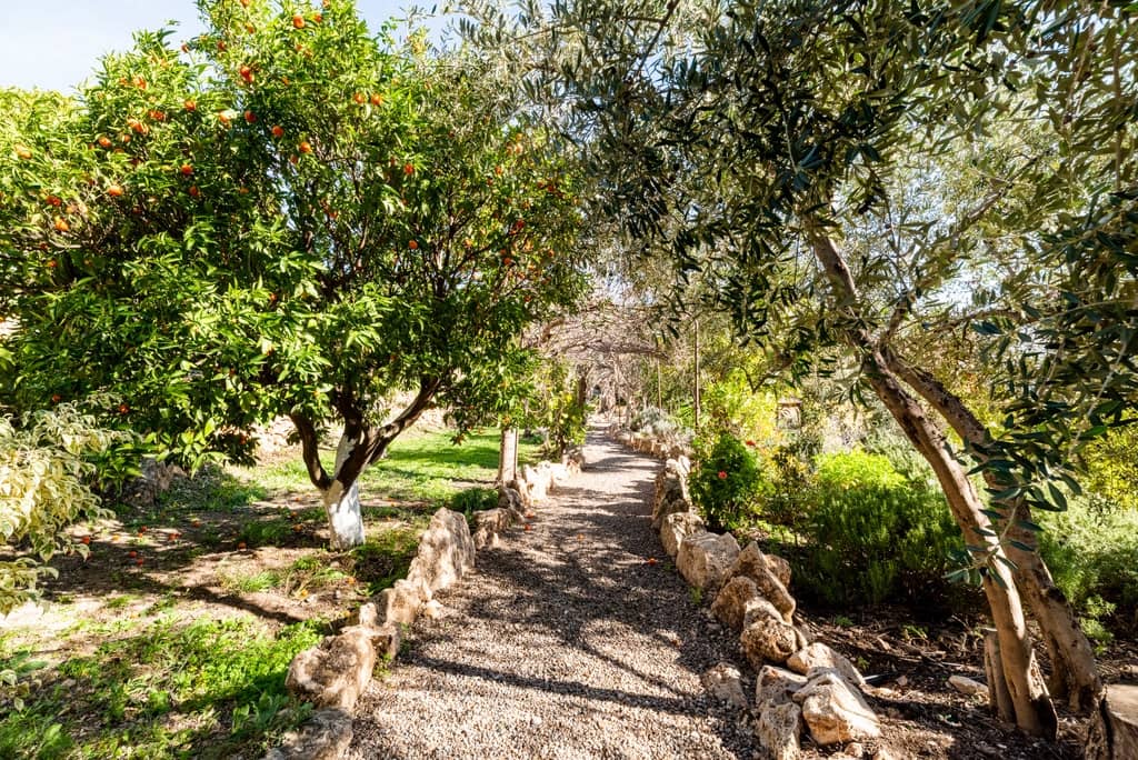 5 slaapkamer Finca/Landhuis te koop in El Pinar met zwembad garage - € 850.000 (Ref: 9360400)