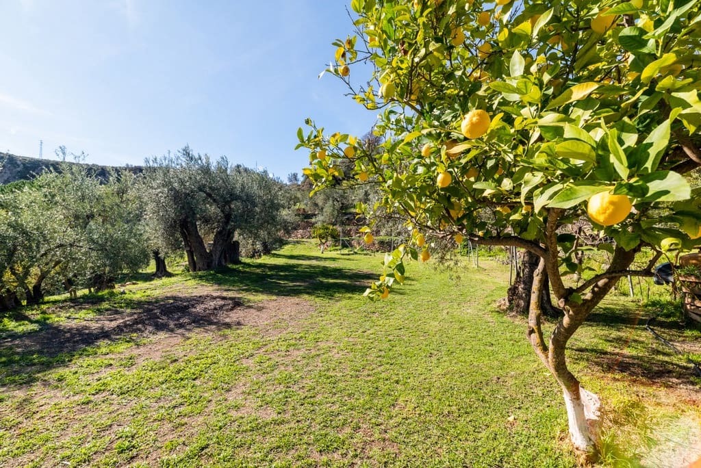 5 slaapkamer Finca/Landhuis te koop in El Pinar met zwembad garage - € 850.000 (Ref: 9360400)