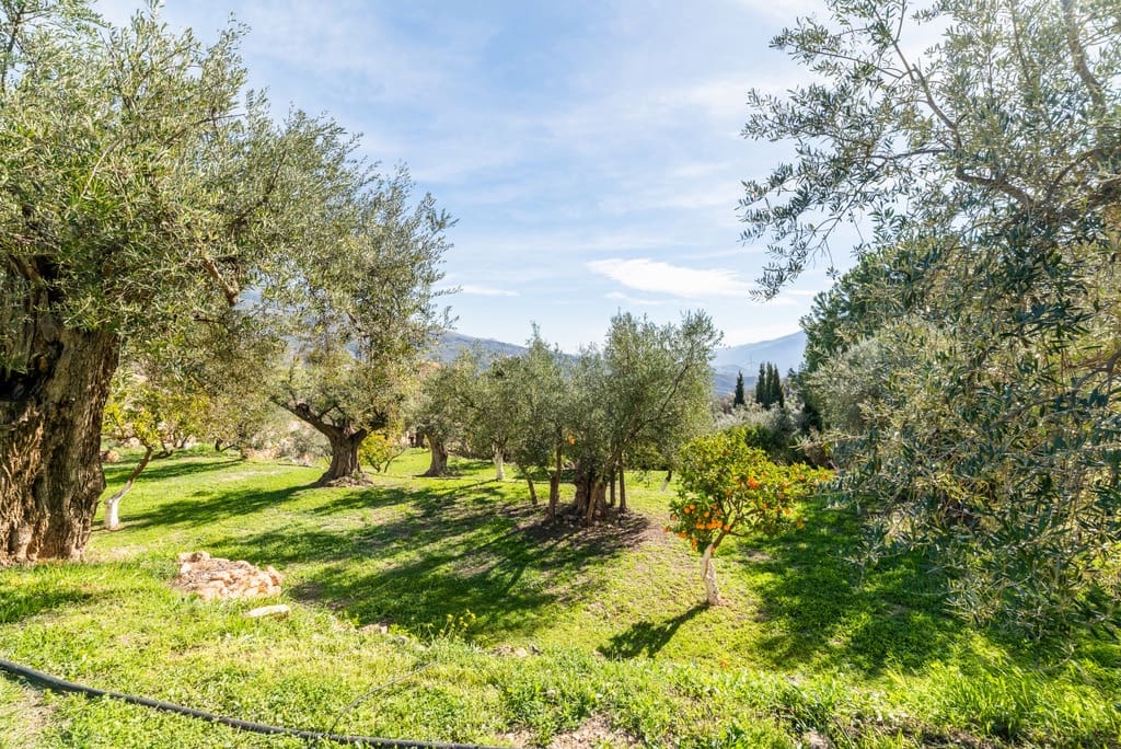 5 slaapkamer Finca/Landhuis te koop in El Pinar met zwembad garage - € 850.000 (Ref: 9360400)