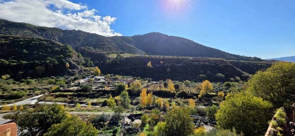 4 bedroom Villa for sale in Niguelas with pool - € 350,000 (Ref: 9414422)