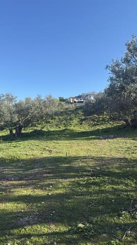 2 Zimmer Mobilhaus zu verkaufen in Los Corrales mit Pool Garage - 40.808 € (Ref: 10070128)