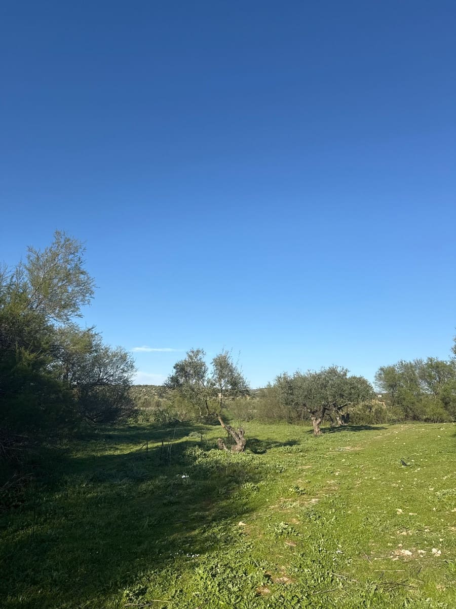 Casa Móvil de 2 habitaciones en Los Corrales en venta con piscina garaje - 40.808 € (Ref: 10070128)