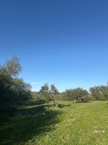 2 Zimmer Mobilhaus zu verkaufen in Los Corrales mit Pool Garage - 40.808 € (Ref: 10070128)