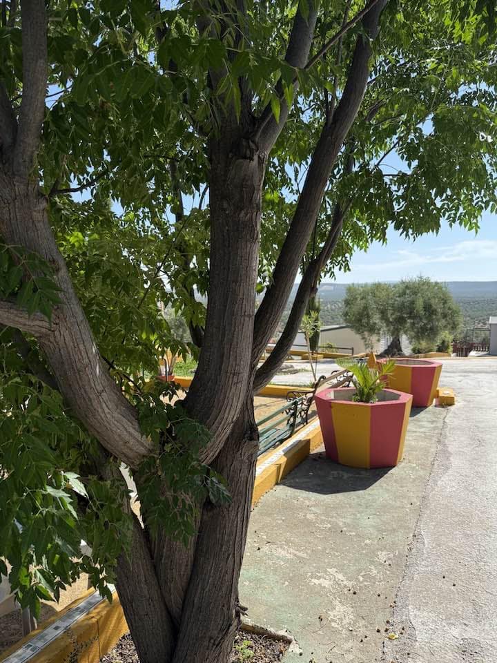 Casa Móvil de 3 habitaciones en Los Corrales en venta - 63.087 € (Ref: 9660636)