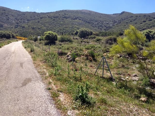 Ubebygd land til salgs i Ronda - € 17 500 000 (Ref: 4676787)