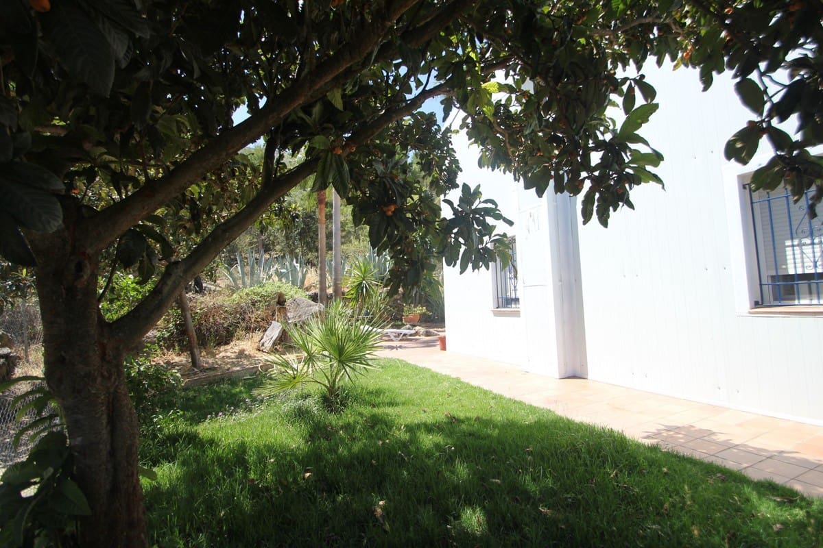 Grunde uden byggetilladelser til salg i Ronda - € 17.500.000 (Ref: 4676787)