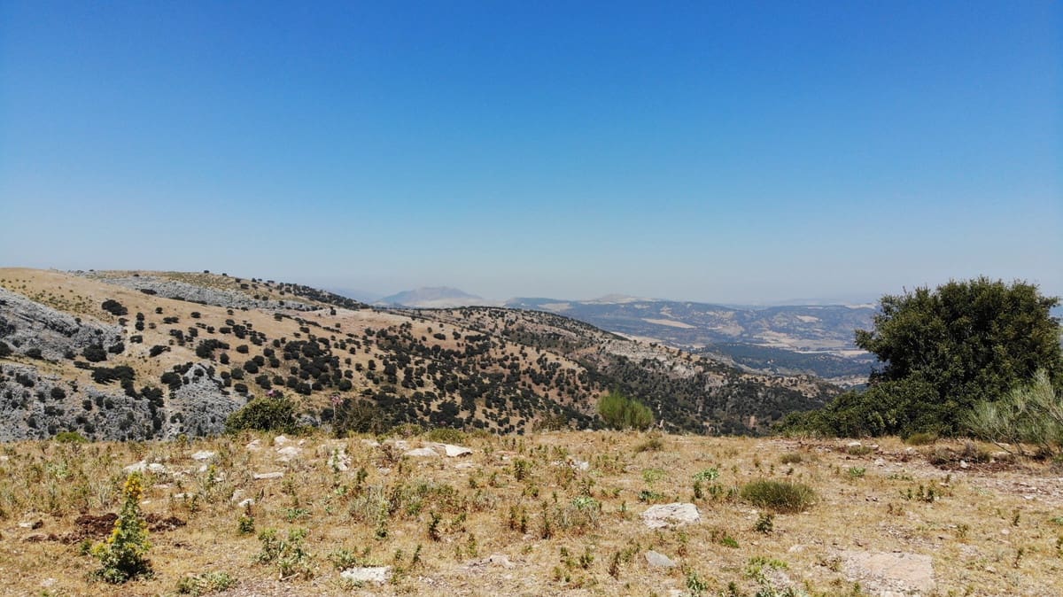 Undeveloped Land for sale in Ronda - € 17,500,000 (Ref: 4676787)