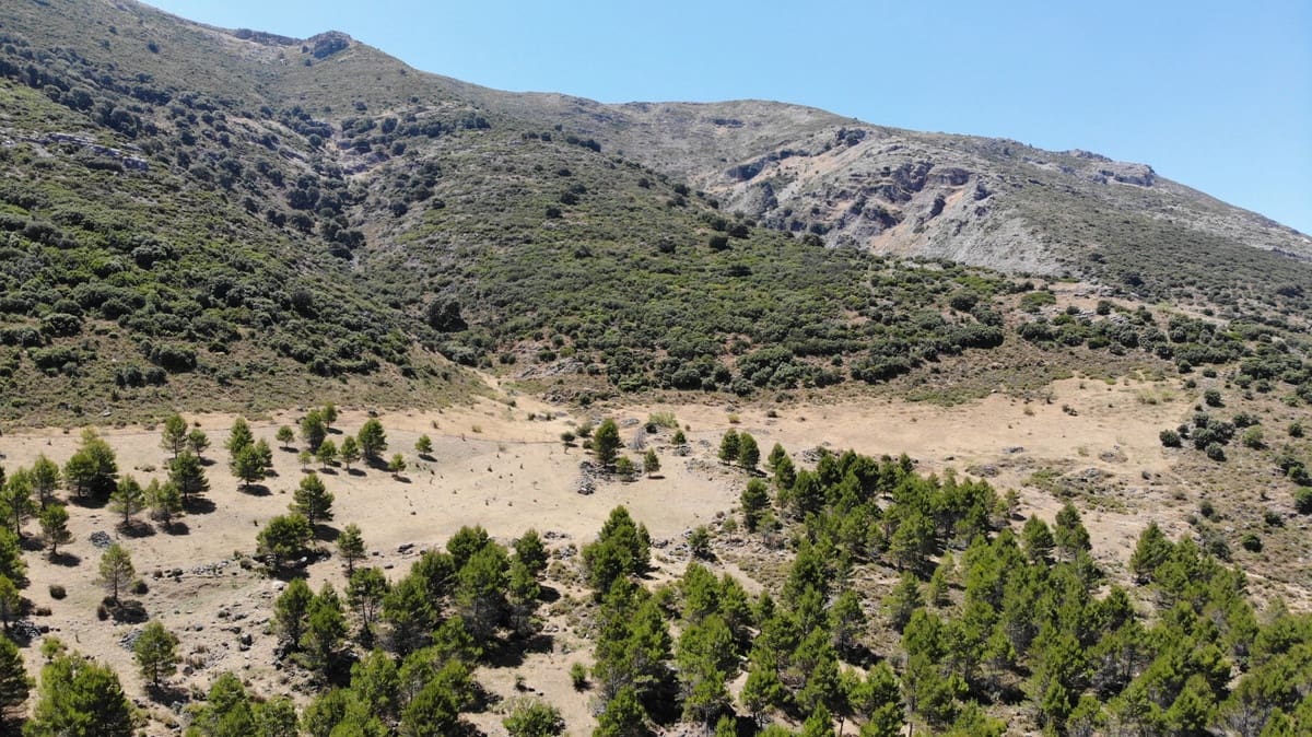 Undeveloped Land for sale in Ronda - € 17,500,000 (Ref: 4676787)
