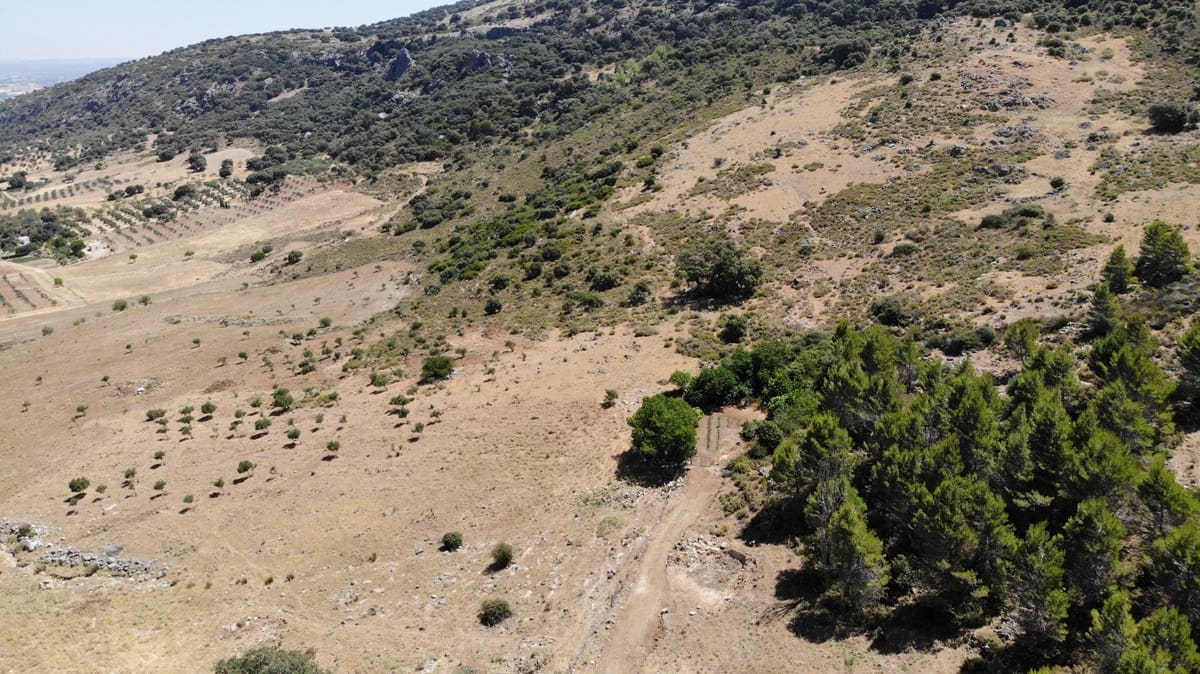 Undeveloped Land for sale in Ronda - € 17,500,000 (Ref: 4676787)
