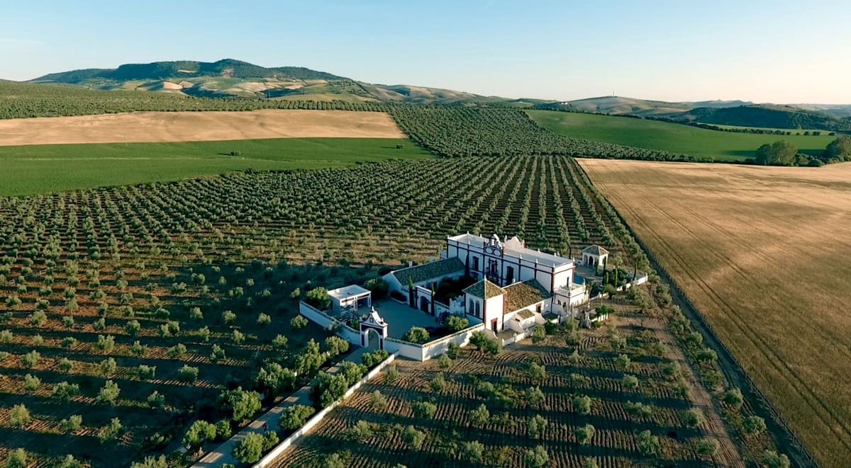 7 soveværelse Villa til salg i Sevilla by med swimmingpool garage - € 2.950.000 (Ref: 6485968)