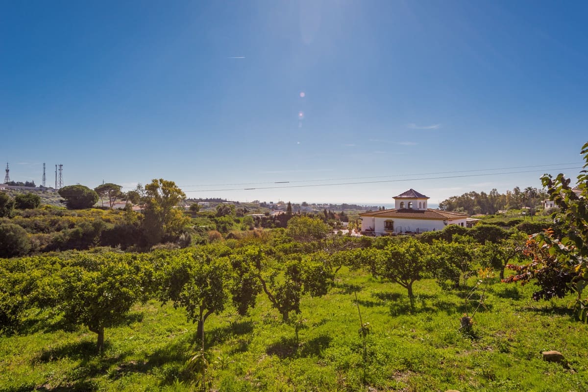 3 chambre Villa/Maison à vendre à El Padron - 1 070 000 € (Ref: 6485972)