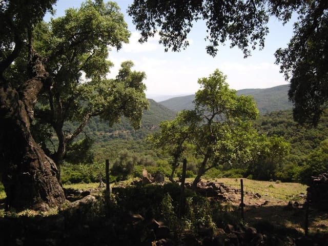 Rakentamaton maa myytävänä paikassa Gaucín - 1 500 000 € (Ref: 6486051)