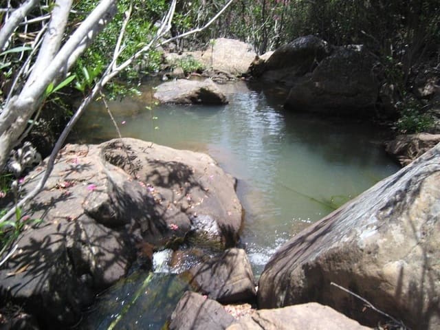 Rakentamaton maa myytävänä paikassa Gaucín - 1 500 000 € (Ref: 6486051)