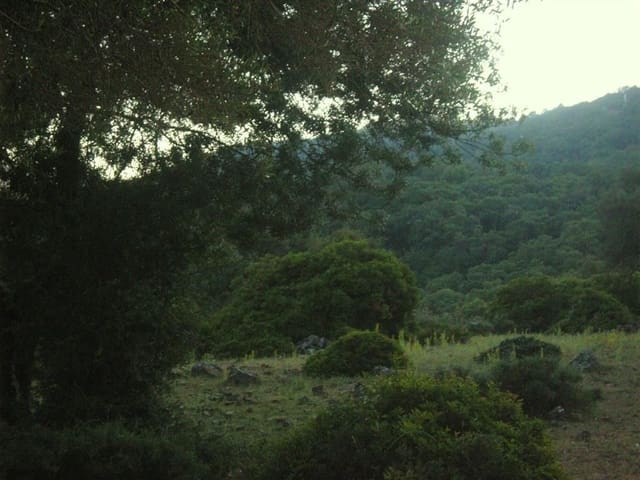 Ubebygd land til salgs i Gaucín - € 1 500 000 (Ref: 6486051)