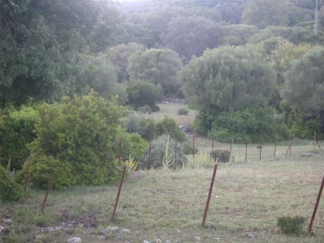 Mark till salu i Gaucín - 1 500 000 € (Ref: 6486051)