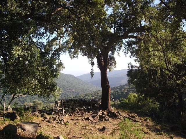 Mark till salu i Gaucín - 1 500 000 € (Ref: 6486051)