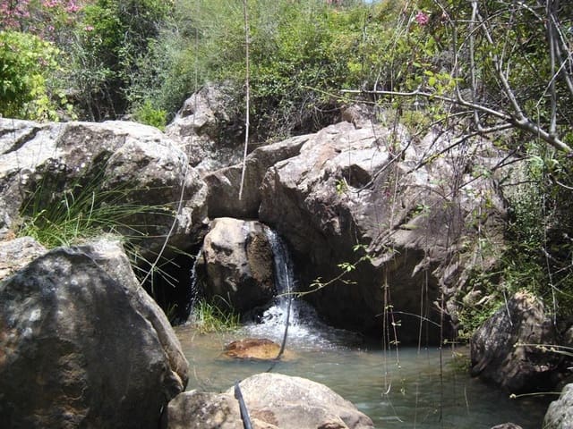 Mark till salu i Gaucín - 1 500 000 € (Ref: 6486051)